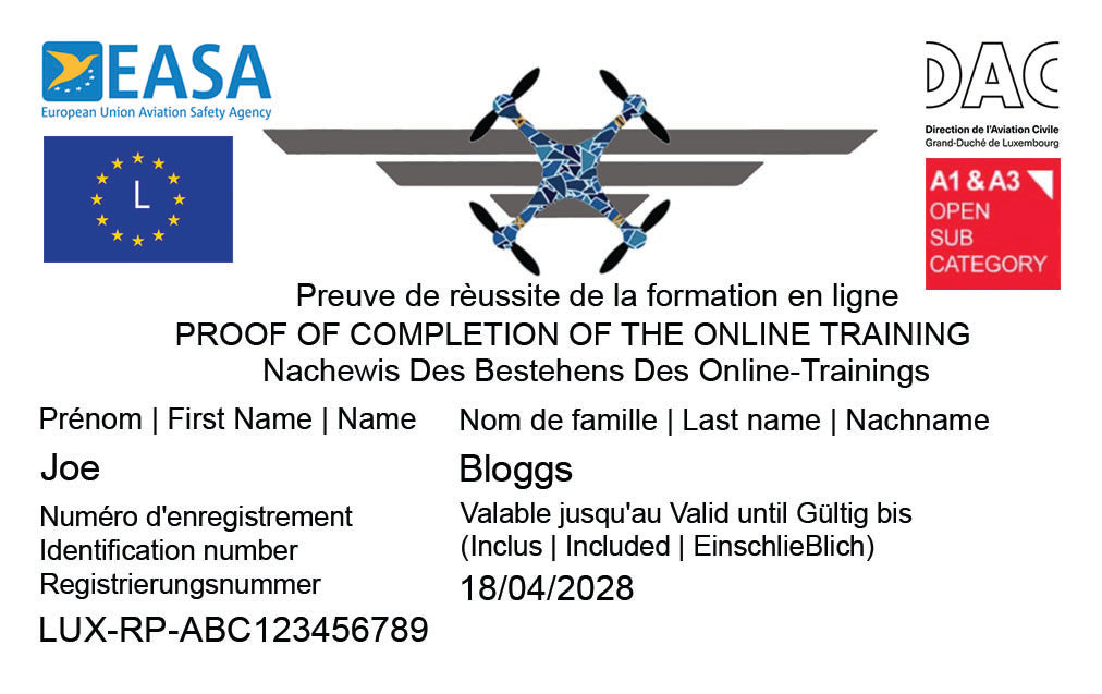 EASA Flyer ID Card and Laminated Sticker Bundle